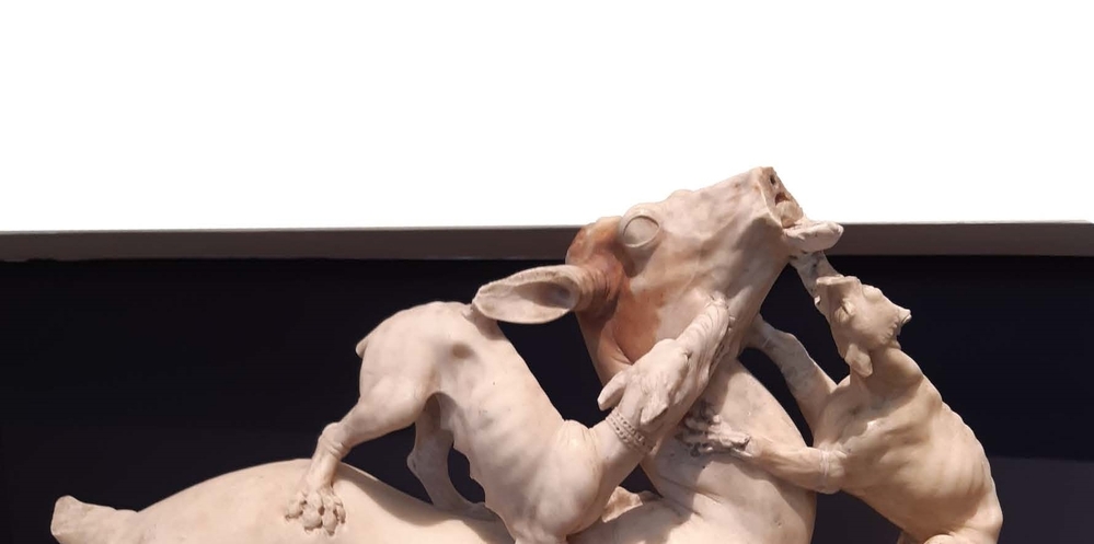 Colloquia Ceranea VI